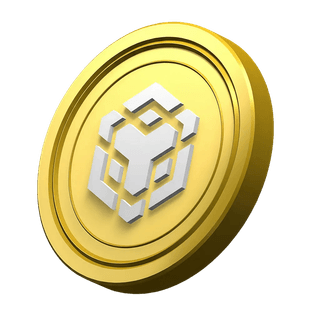 BNB-munt als decoratief element in het informatiegedeelte van het platform